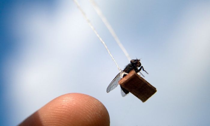 Прикольные картинки (80 фото)