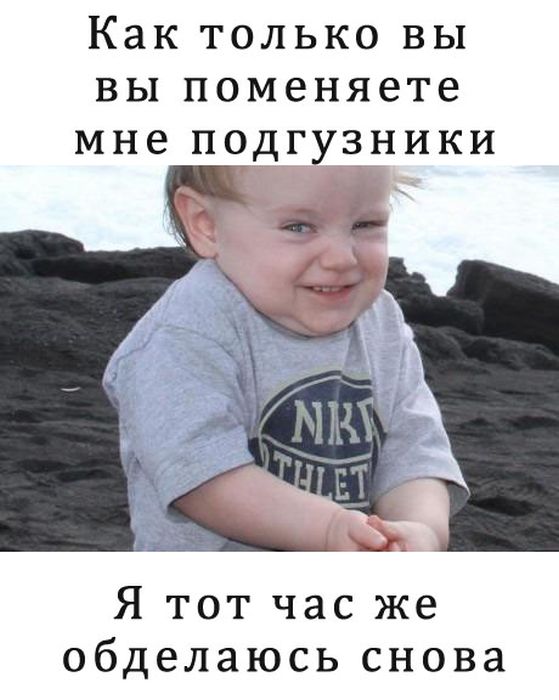 Прикольные картинки (92 фото)