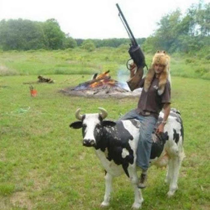 Прикольные картинки (92 фото)