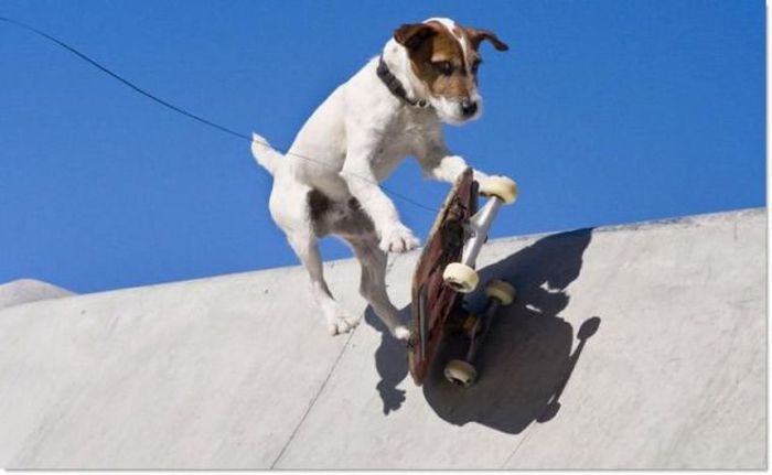 Прикольные картинки (119 фото)