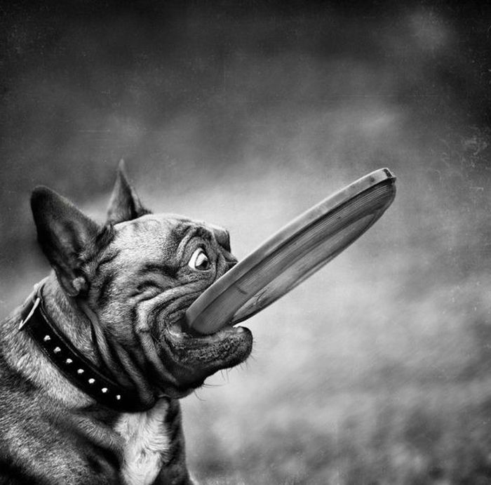 Прикольные картинки (119 фото)