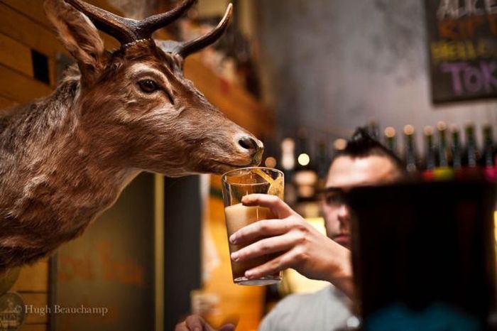 Прикольные картинки (119 фото)