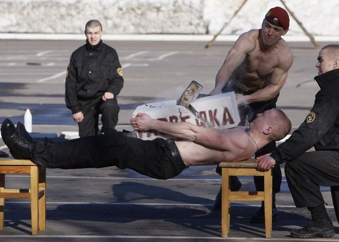 Прикольные картинки (99 фото)