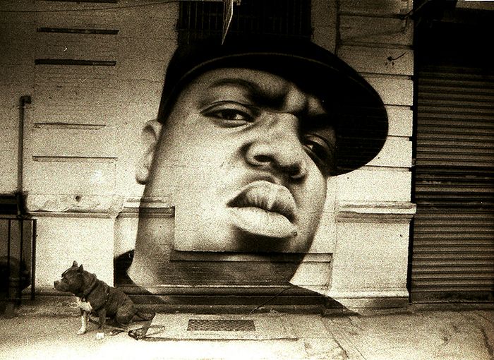 Прикольные картинки (99 фото)