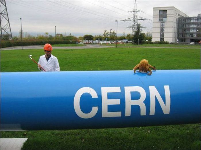 Прикольные картинки (99 фото)