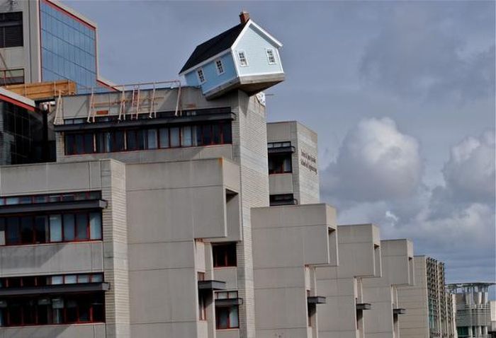 Прикольные картинки (99 фото)