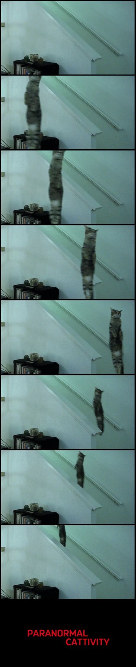 Прикольные картинки (99 фото)