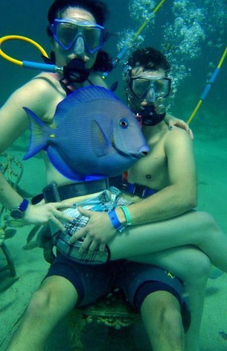 Прикольные картинки (83 фото)