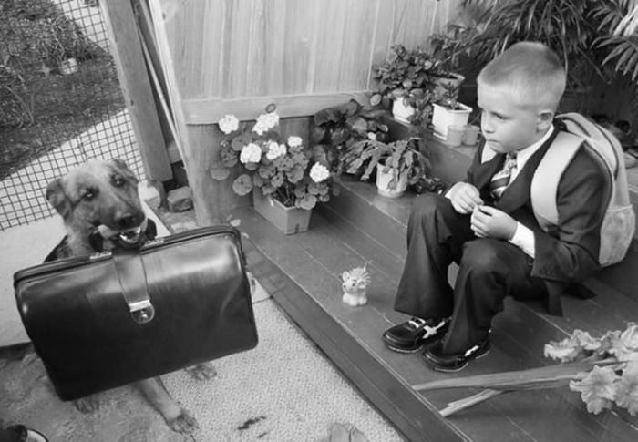 Прикольные картинки (83 фото)