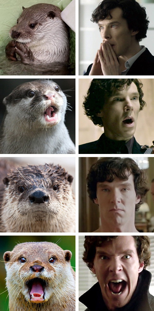 Прикольные картинки (83 фото)