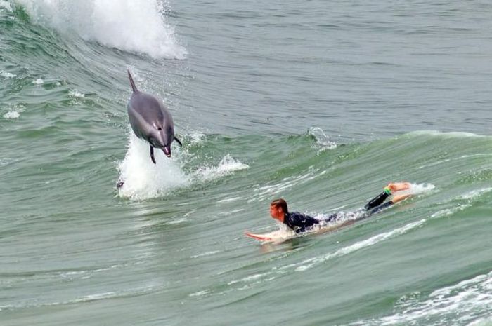 Прикольные картинки (96 фото)