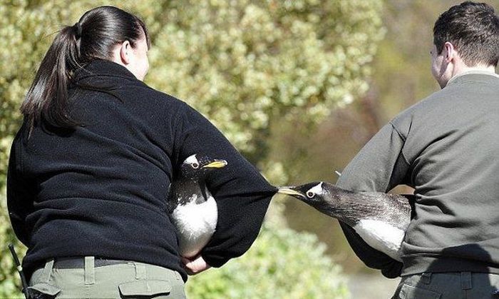 Прикольные картинки (96 фото)