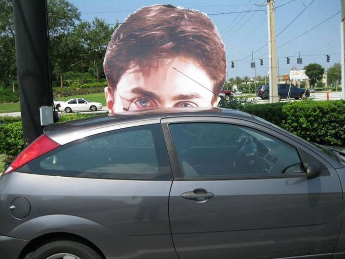 Прикольные картинки (96 фото)