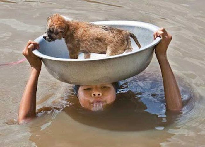 Прикольные картинки (96 фото)