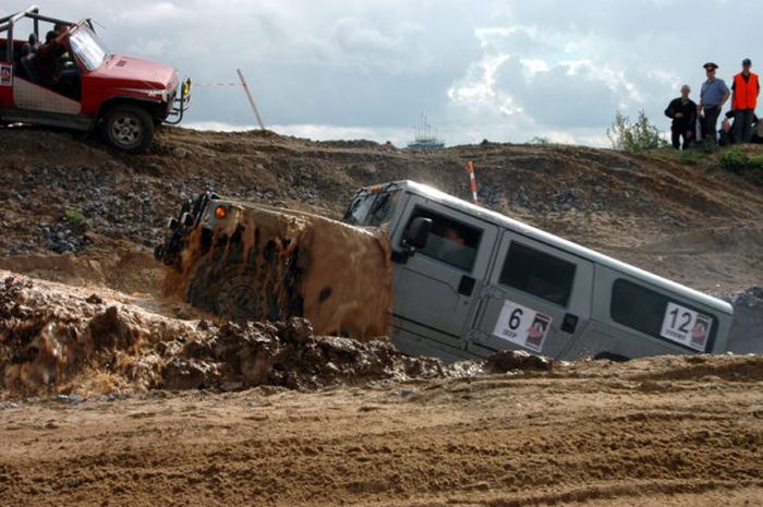 Прикольные картинки (104 фото)