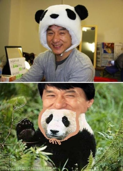 Прикольные картинки (104 фото)