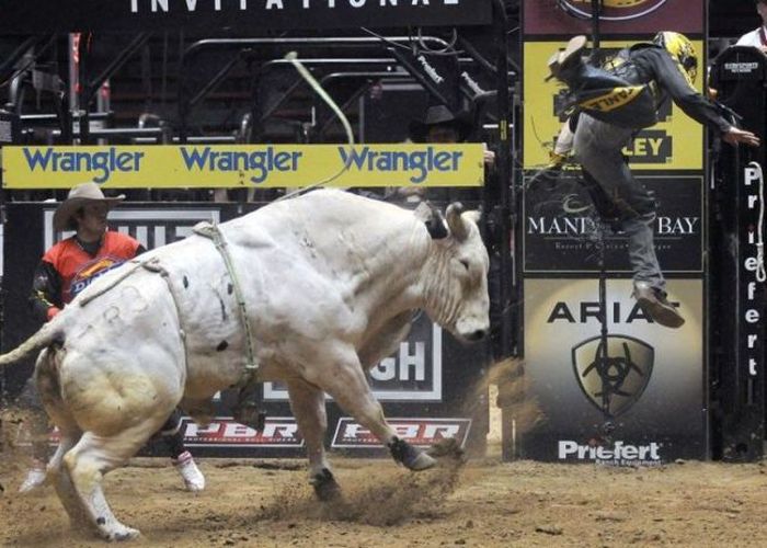 Прикольные картинки (90 фото)