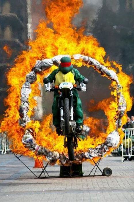 Прикольные картинки (93 фото)