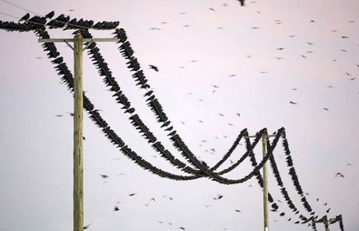 Прикольные картинки (93 фото)