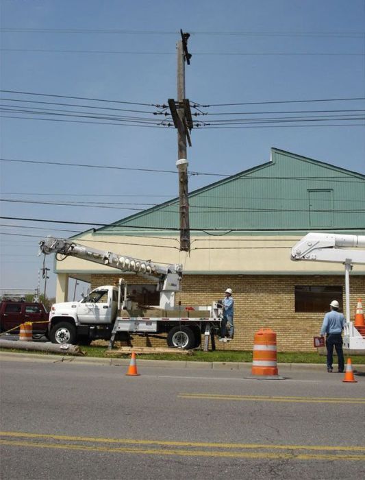 Прикольные картинки (93 фото)