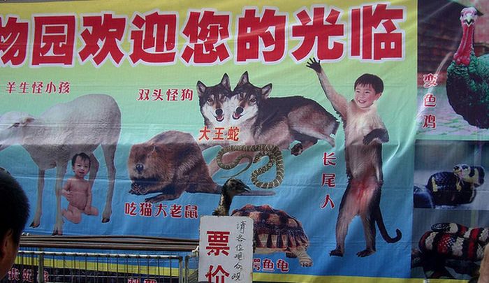 Такое возможно только в Китае. Часть 2. (26 фото)