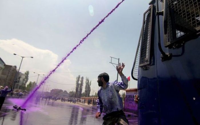 Прикольные картинки (104 фото)