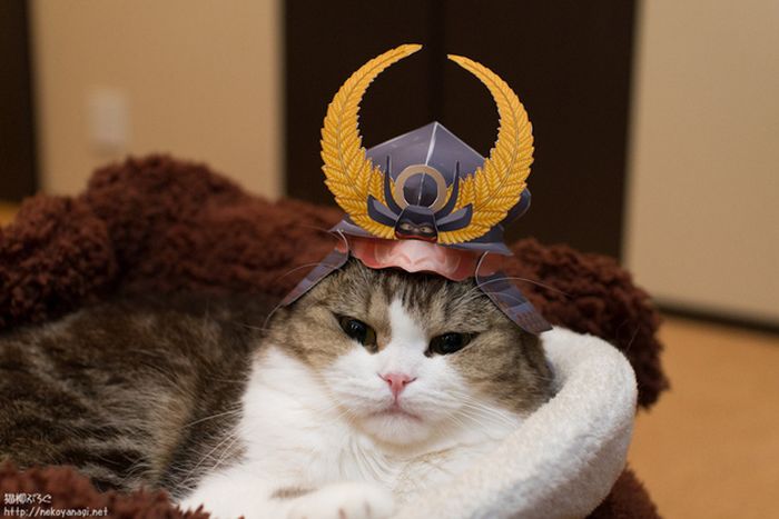 Прикольные картинки (104 фото)