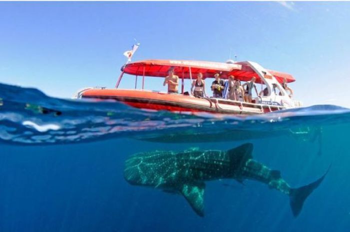 Прикольные картинки (148 фото)