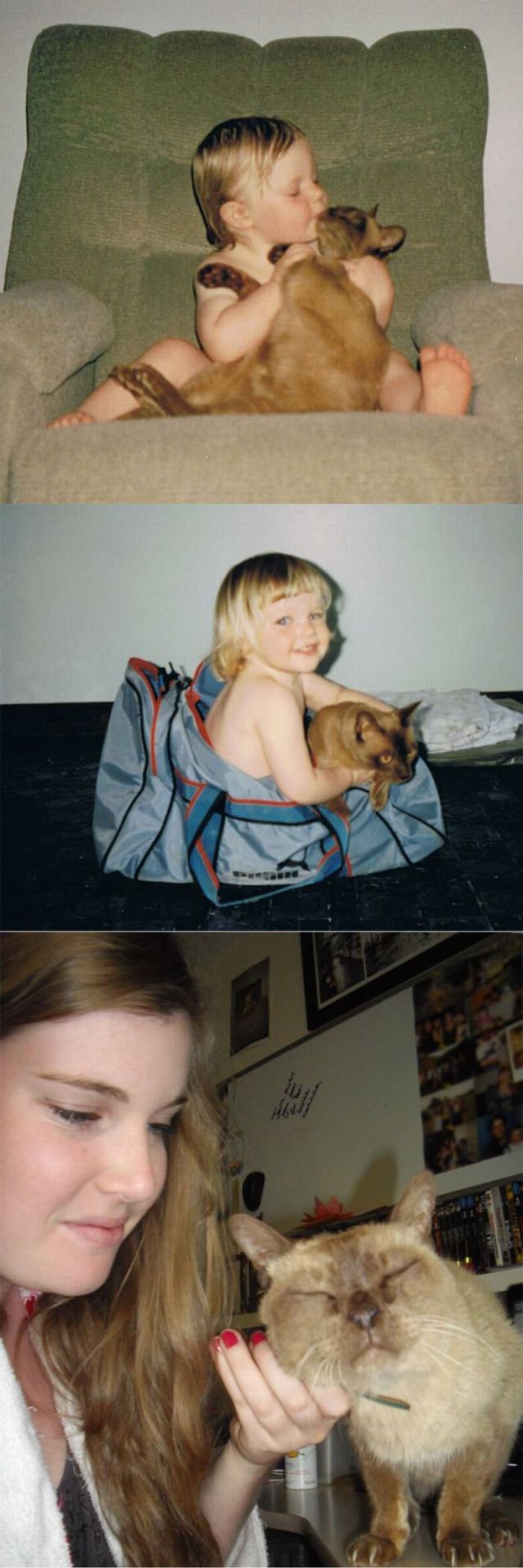 Прикольные картинки (148 фото)