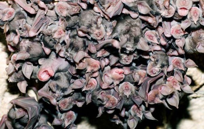 Прикольные картинки (102 фото)