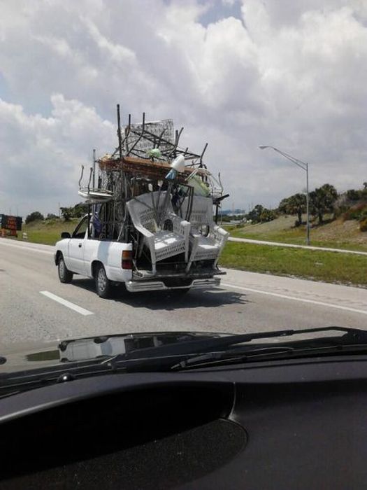 Прикольные картинки (102 фото)