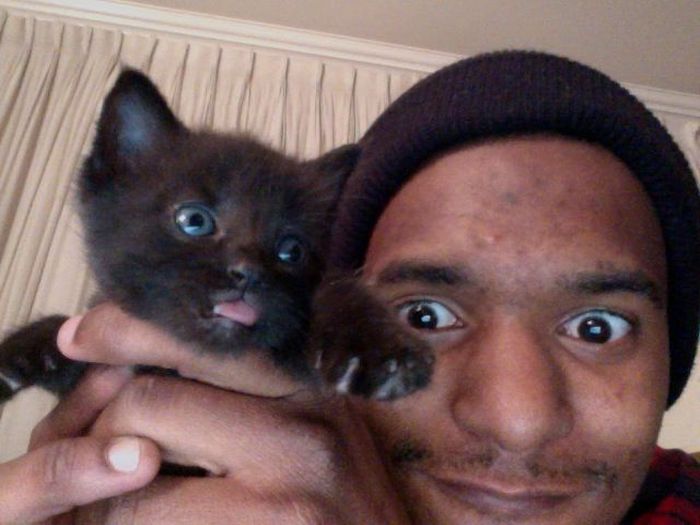 Прикольные картинки (102 фото)