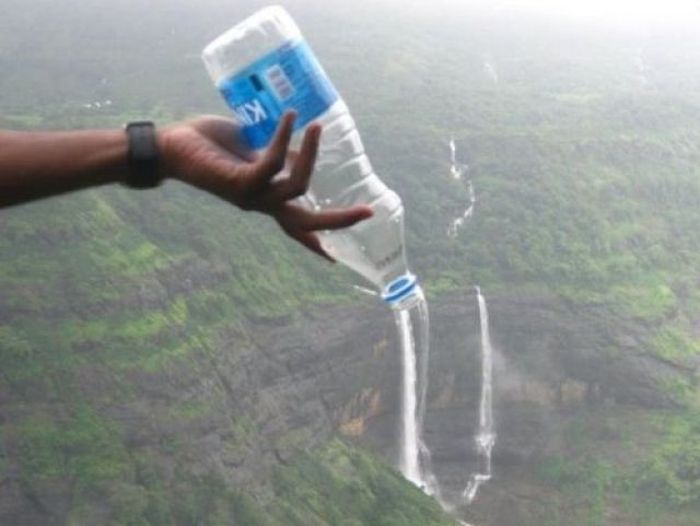 Прикольные картинки (102 фото)