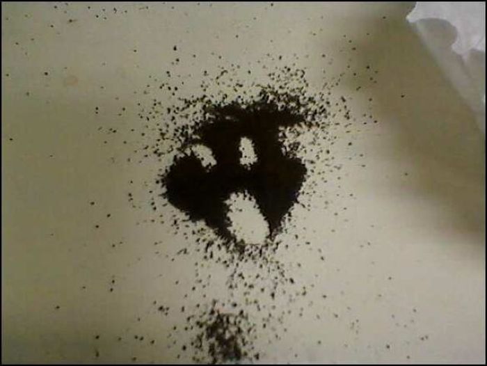 Прикольные картинки (102 фото)