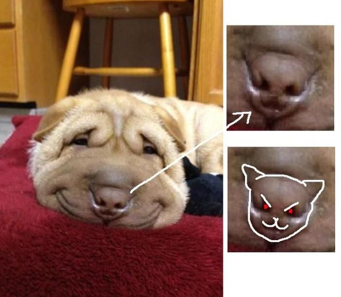 Прикольные картинки (102 фото)