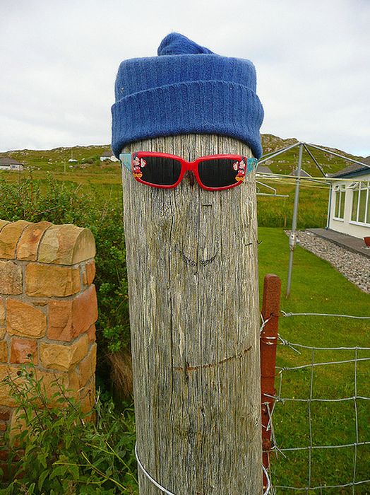 Прикольные картинки (102 фото)