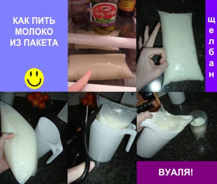 Прикольные картинки (102 фото)