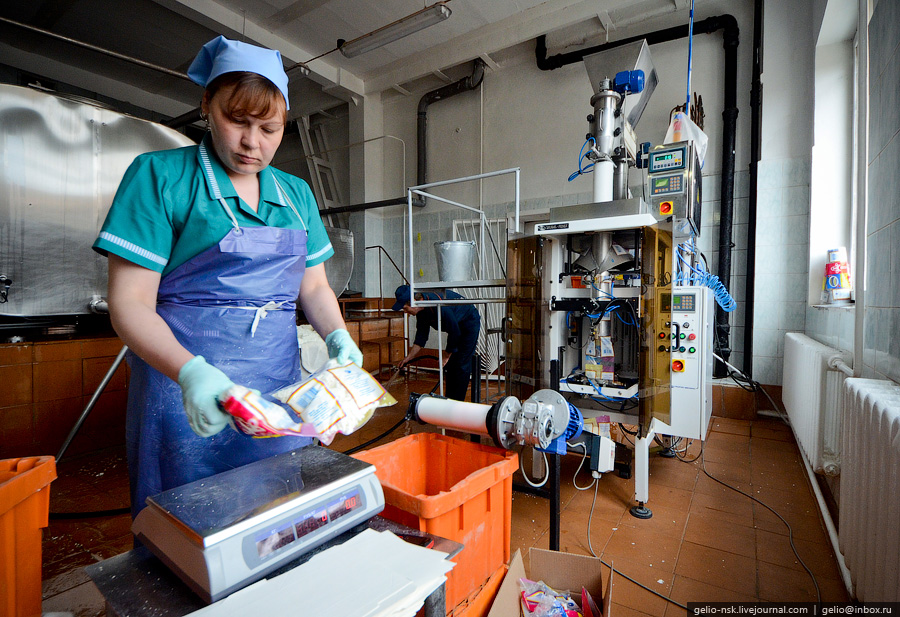 1363 Производство молока: Племзавод Ирмень в Новосибирской области