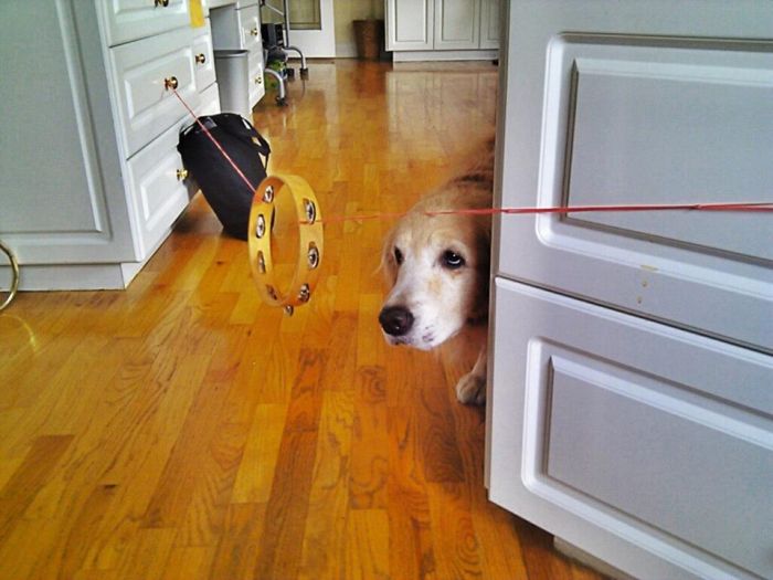 Прикольные картинки (108 фото)