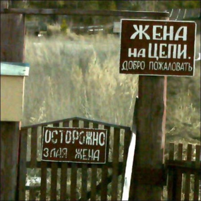 Прикольные картинки (108 фото)