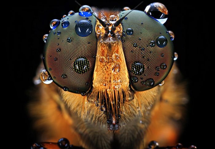 Прикольные картинки (108 фото)