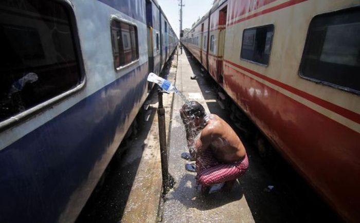 Прикольные картинки (108 фото)