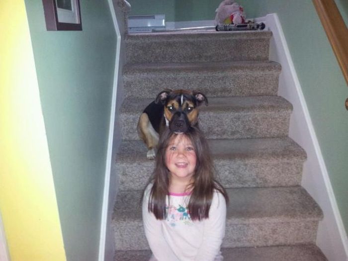 Прикольные картинки (108 фото)