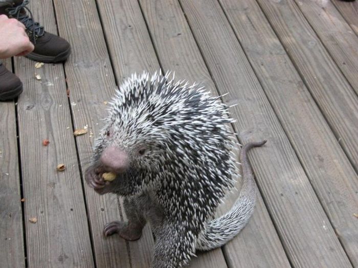 Прикольные картинки (108 фото)